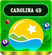 <h4>CAROLINA 4D