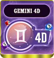 <h4>4D GEMINI