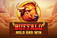 Buffalo Hold And Win