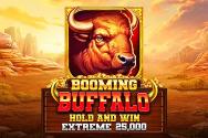 Buffalo Hold and Win Extreme 25000