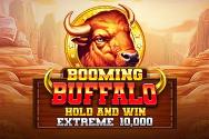 Buffalo Hold And Win Extreme 10000