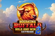 Buffalo Hold and Win: Extreme 2