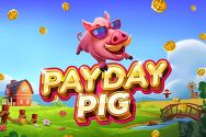 Payday Pig