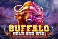 Buffalo Hold And Win