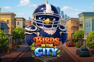 Birds in The City