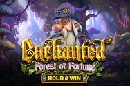 Enchanted: Forest of Fortune - Hold & Win