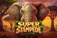 SUPER STAMPEDE