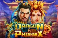 Dragon & Phoenix