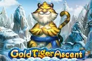 Gold Tiger Ascent