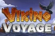 Viking Voyage