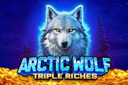 Arctic Wolf Triple Riches