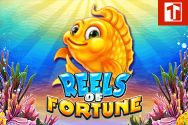Reels of Fortune
