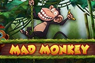 Mad Monkey