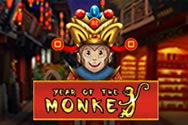 Year of The Monkey