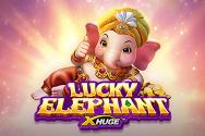 Lucky Elephant X-Huge