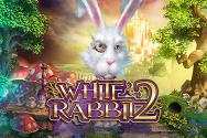 White Rabbit 2