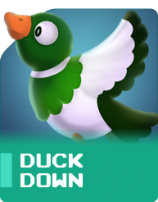 <h4>DUCK DOWN</h4>