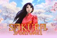 Sakura Fortune