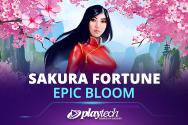 Sakura Fortune Epic Bloom