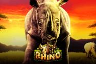 Rhino