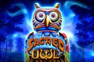 Sacred Owl
