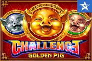 Challenge Golden Pig