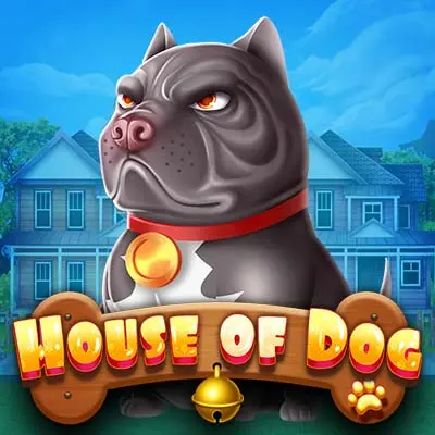 HOUSE OF DOG