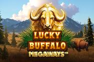 Lucky Buffalo Megaways