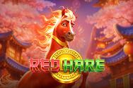 Red Hare