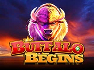 Buffalo Begins