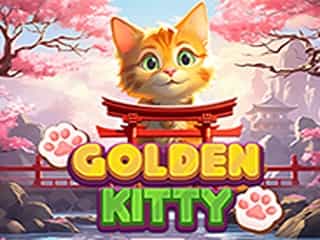 Golden Kitty