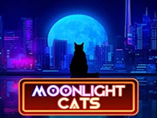 Moonlight Cats