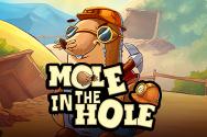 Mole in the Hole