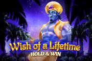 Wish of a Lifetime Hold & Win
