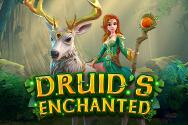 Druid's Enchanted