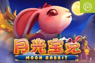 Moon Rabbit
