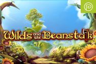 Wilds and the Beanstalk