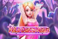 Wild Disco Night