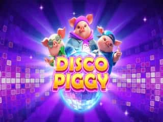 Disco Piggy