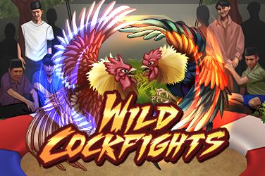 Wild Cockfights