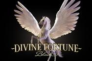 Divine Fortune Black