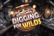 Digging for Wilds