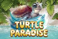 Turtle Paradise