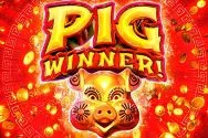 Pig Winner