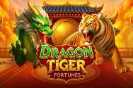 Dragon Tiger Fortunes