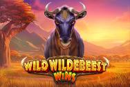 Wild Wildebeest Wins